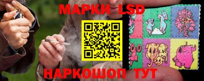 прущий лед Новозыбков