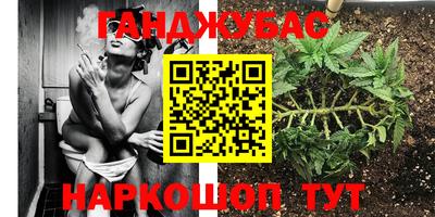 прущий лед Новозыбков