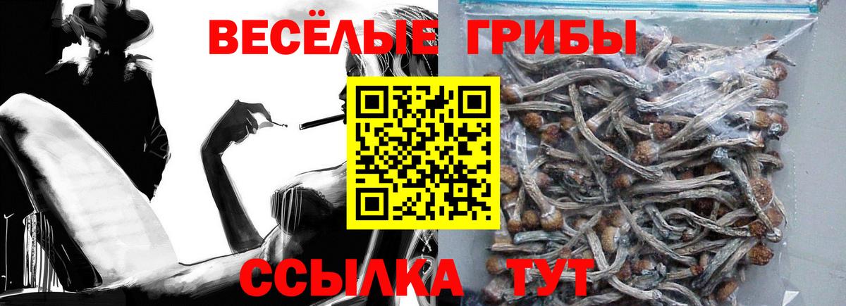 Галлюциногенные грибы мицелий Черняховск