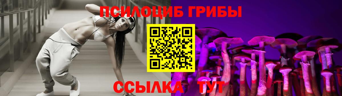 Псилоцибиновые грибы прущие грибы  Галлюциногенные грибы Psilocybe  Черняховск  Вход с VPN 